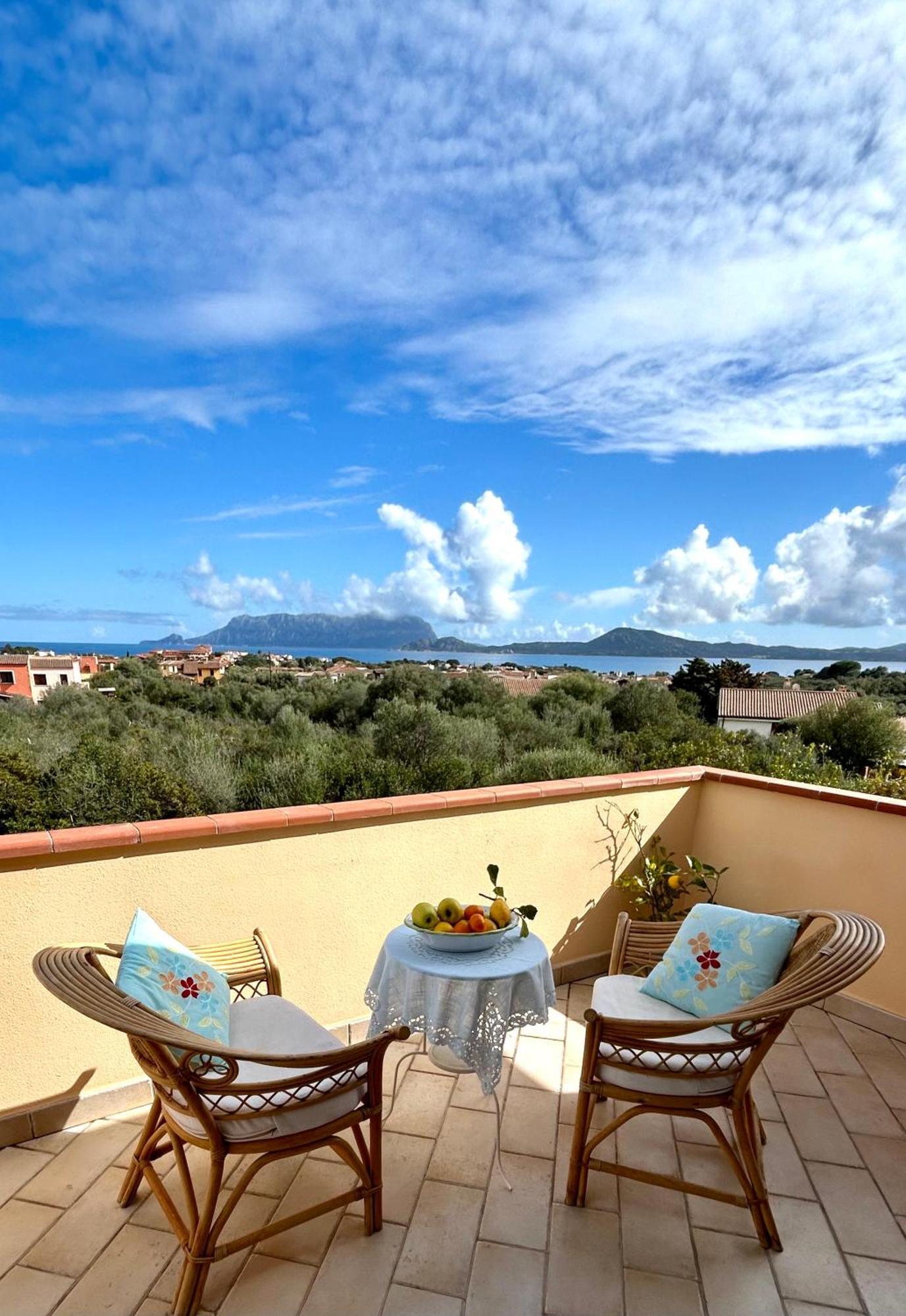 Villa Ulivo ออลเบีย ภายนอก รูปภาพ
